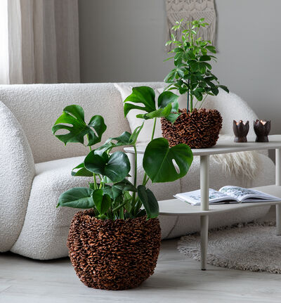 Kongle blomsterpotte 19 cm Kongle blomsterpotte 19 cm